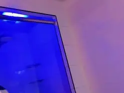 Amateur Best live sex cam show of nicol_gill_