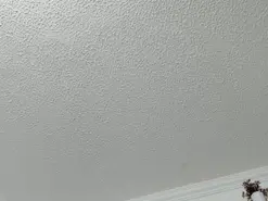 Amateur Private Sex Chat of lucia_asss