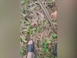Amateur Live Sex Cam of Parejapae