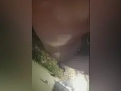 Amateur Free Live Porn of Parejapae