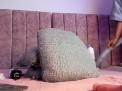 Amateur Free Porn Cam of Ambeer_fox_