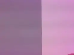 Amateur Free Live Porn of sarayandcamilo