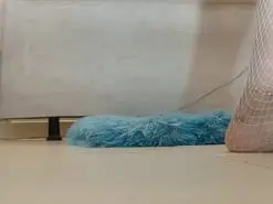 Amateur Nude Webcam of sarayandcamilo