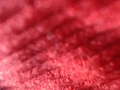 Amateur Live Porn of patty_squirt