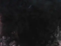 Amateur Live Porn of Evalux