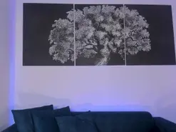 Amateur Adult Webcam of MollySunders1