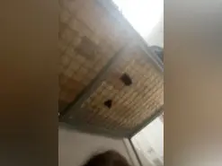 Amateur Sex Cam of Miau