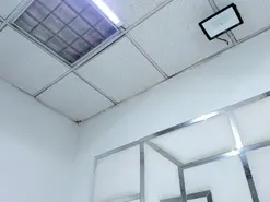 Amateur Best live sex cam show of ZoeSwam