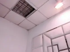 Amateur Sex Cam of ZoeSwam