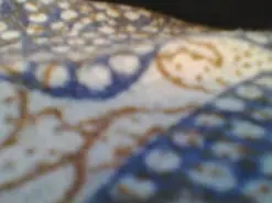 Amateur Live Sex Cam of ojosgatomadrid1