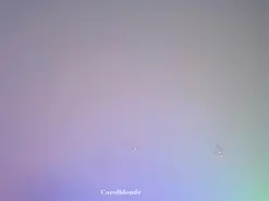 Amateur Sex Cam of carol_blonde