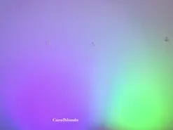 Amateur Sex Cam of carol_blonde