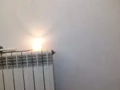 Amateur Live Sex of D1408