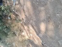 Amateur Live Porn of PAREJASILKI1