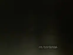 Amateur Best Webcam of Bell_art
