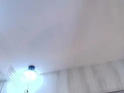 Amateur Best Webcam of Iris_faster