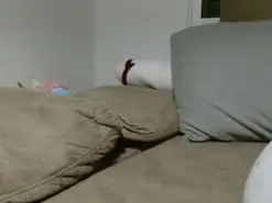 Amateur Free Porn Cam of Babybutterfly