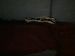 Amateur Free Live Porn of Chichoplus1