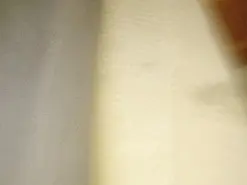 Amateur Private Sex Chat of sexlovesexy333