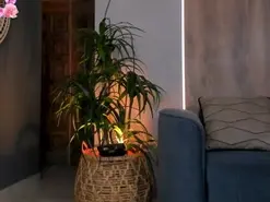 Amateur Best Webcam of IsabellaMoreau