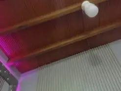 Amateur Live Sex Cam of PaulinaFogoza