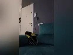 Amateur Live Sex of parejitadelsur2