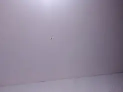 Amateur Sex Cam of Ammycutecs