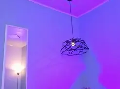 Amateur Free Porn Cam of ninna_curly