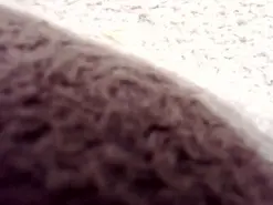 Amateur Free Porn Cam of Vayanacream