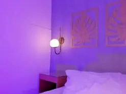 Amateur Free Porn Cam of majo_rose