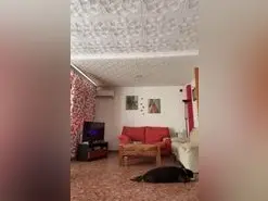 Amateur Live Sex of Vikingoylaurita