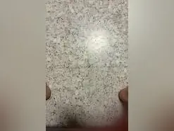 Amateur Private Sex Chat of Purepoissonsw