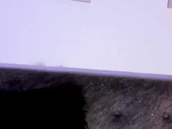 Amateur Free Live Porn of SagiraBelle