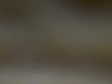 Bongacams Sex Chat of Asiankitties