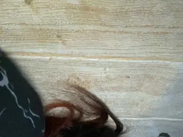 Bongacams Sex Cam of Asiankitties