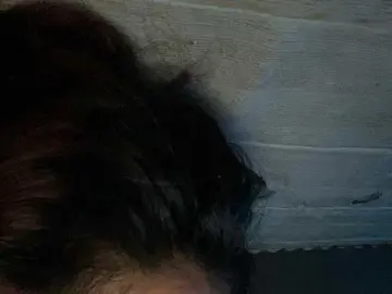 Bongacams Watch Live Sex Cams of Asiankitties
