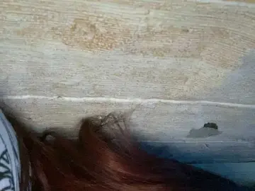 Bongacams Free Live Porn of Asiankitties
