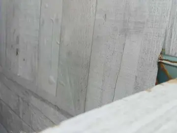 Bongacams Nude Webcam of Asiankitties