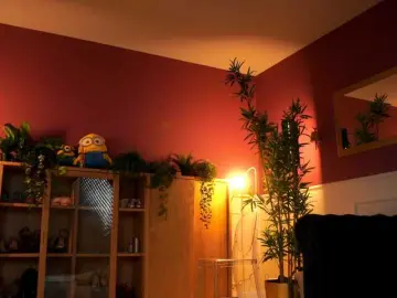 Bongacams Best live sex cam show of AshleysinnX