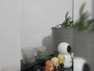 Bongacams Best Webcam of LittleSammy