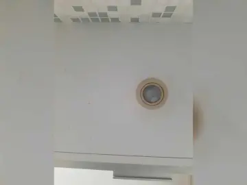 Bongacams Free Porn Cam of LittleSammy