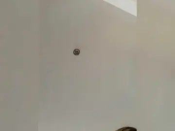 Bongacams Live Porn of LittleSammy
