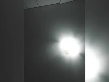 Bongacams Live Sex of LittleSammy