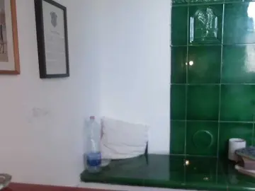 Bongacams Adult Webcam of ConsciousKitti