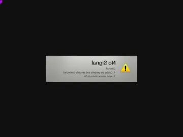Bongacams Best Webcam of -Eliza-