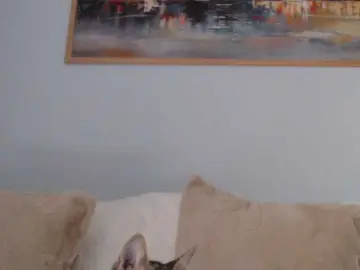 Bongacams Nude Webcam of cleophee
