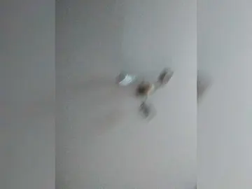 Bongacams Nude Webcam of Cekcukyc