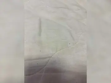 Bongacams Watch Live Sex Cams of Lizabettt