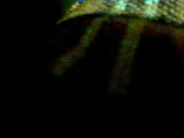 Bongacams Free Live Porn of Pricky-me