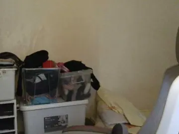 Bongacams Adult Webcam of PhantomRose